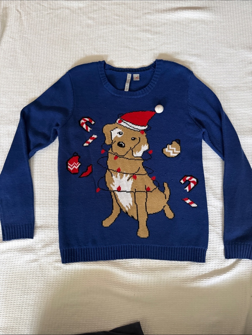 Cute Blue Holiday Dog Sweater with Santa Hat